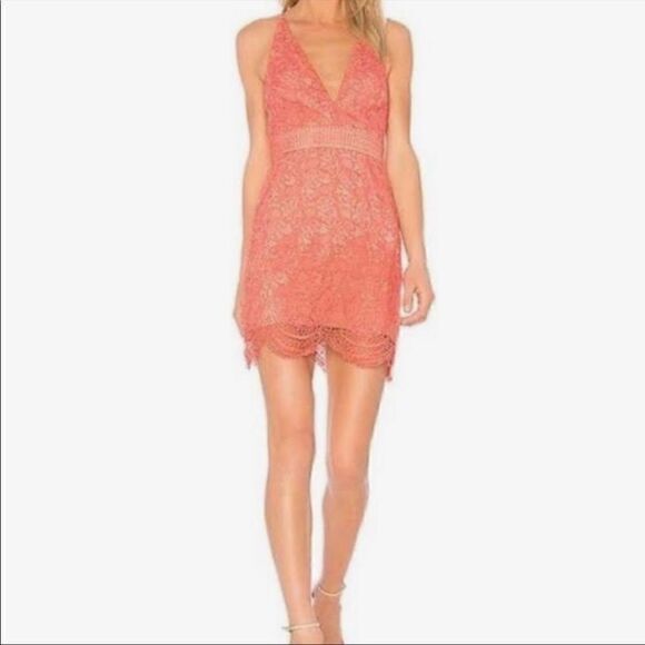 NWT Stylestalker Amelie Crochet Overlay Mini Dress in Melon Xsmall - Picture 6 of 12